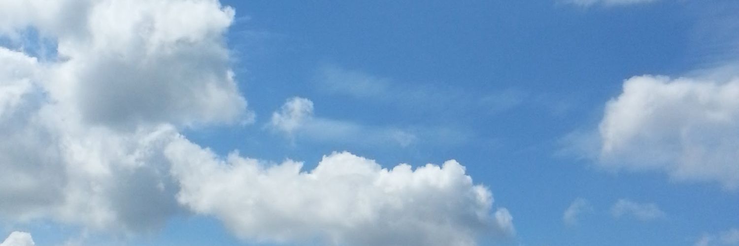 LG8012's profile banner image