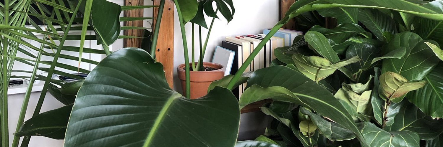 CebileVictoria's profile banner image