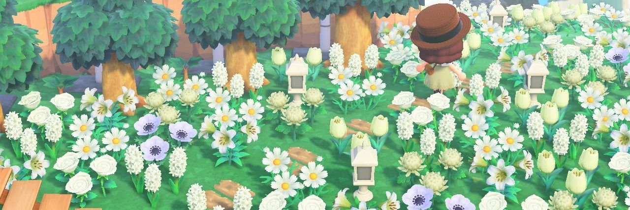 Queeny_Ca's profile banner image