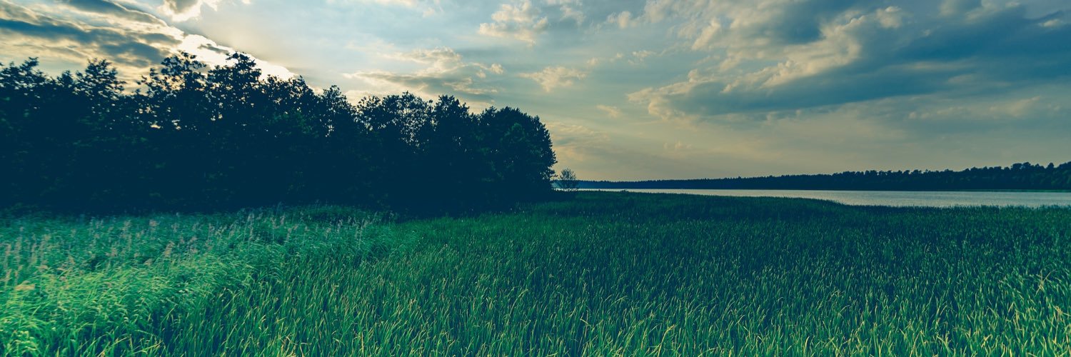 RBTK_MX's profile banner image