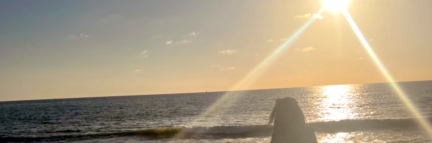 xenimsay's profile banner image