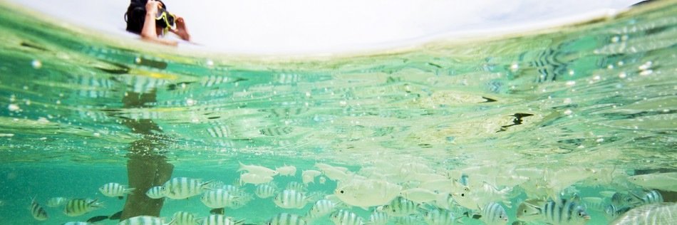 susanshiwashere's profile banner image