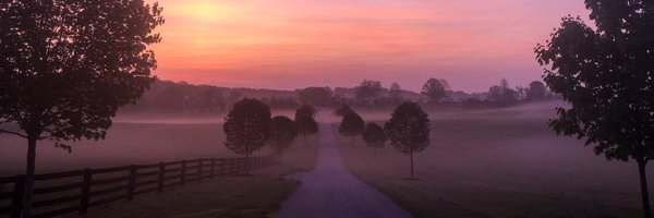 Greg_MHB Profile Banner