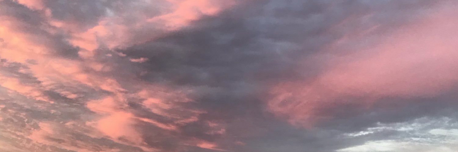pivriddle's profile banner image