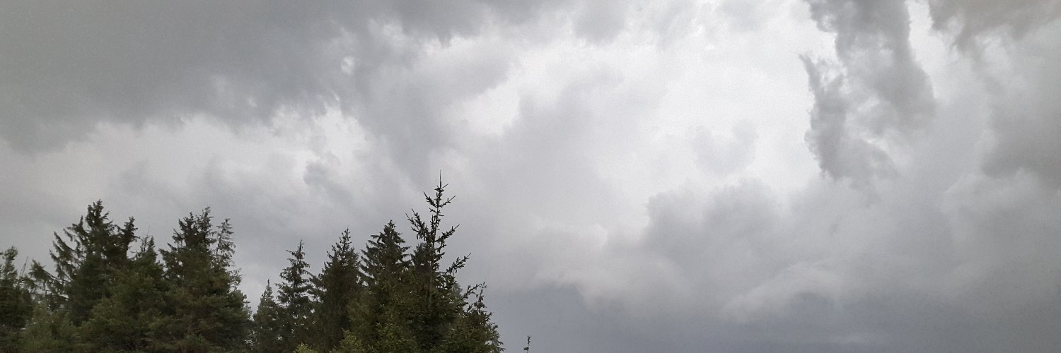 SchlapsiRuled's profile banner image