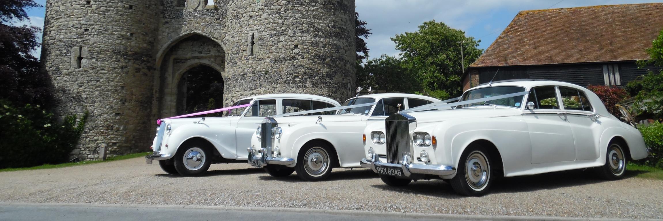 AarionWeddingca's profile banner image