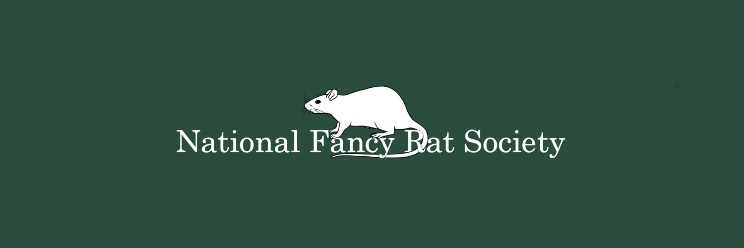NFRSoc's profile banner image