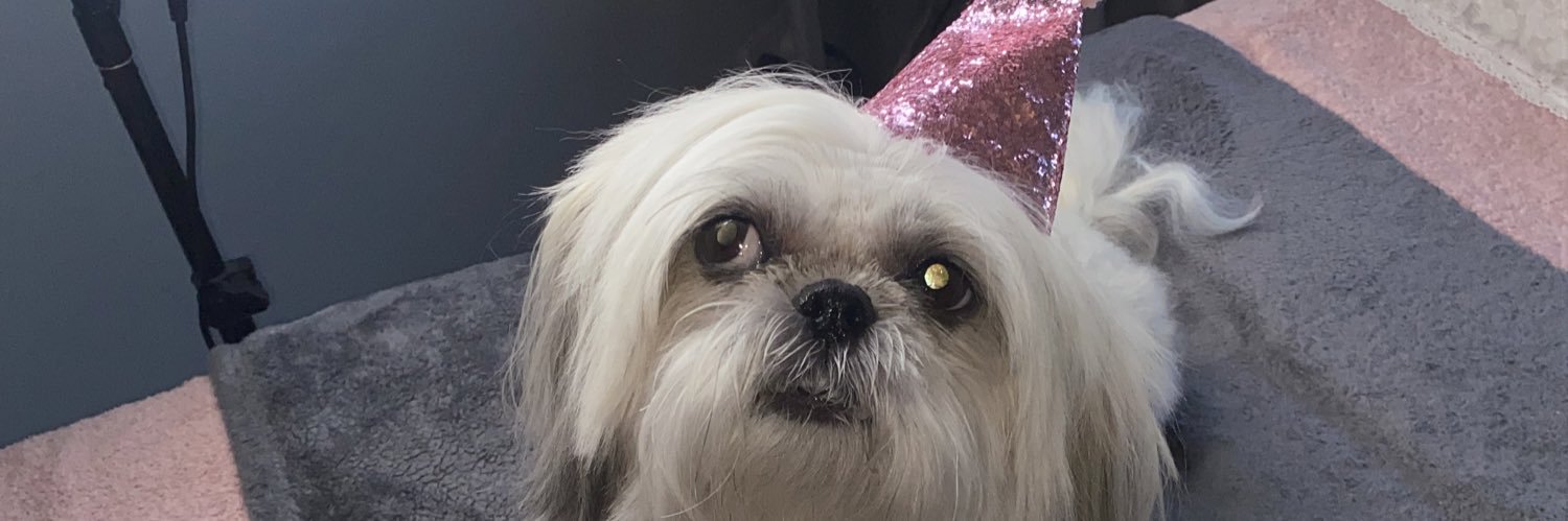 sashakinney's profile banner image