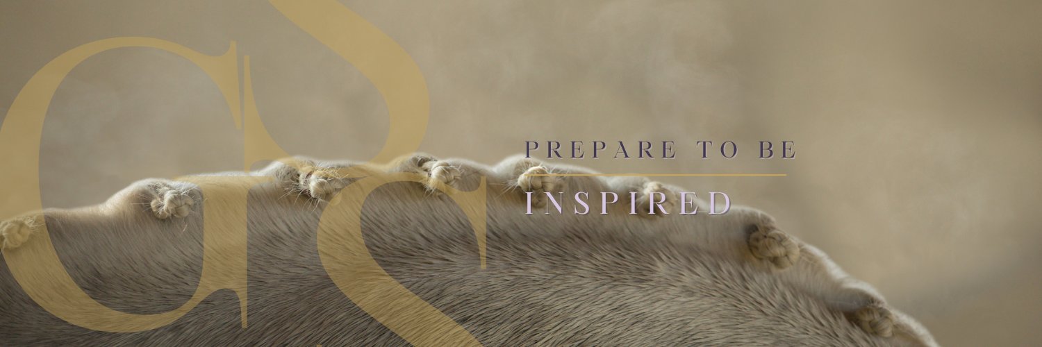 GSS, The Marketing Agency banner