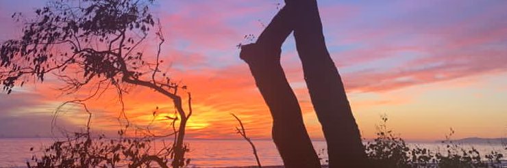 essntlst's profile banner image