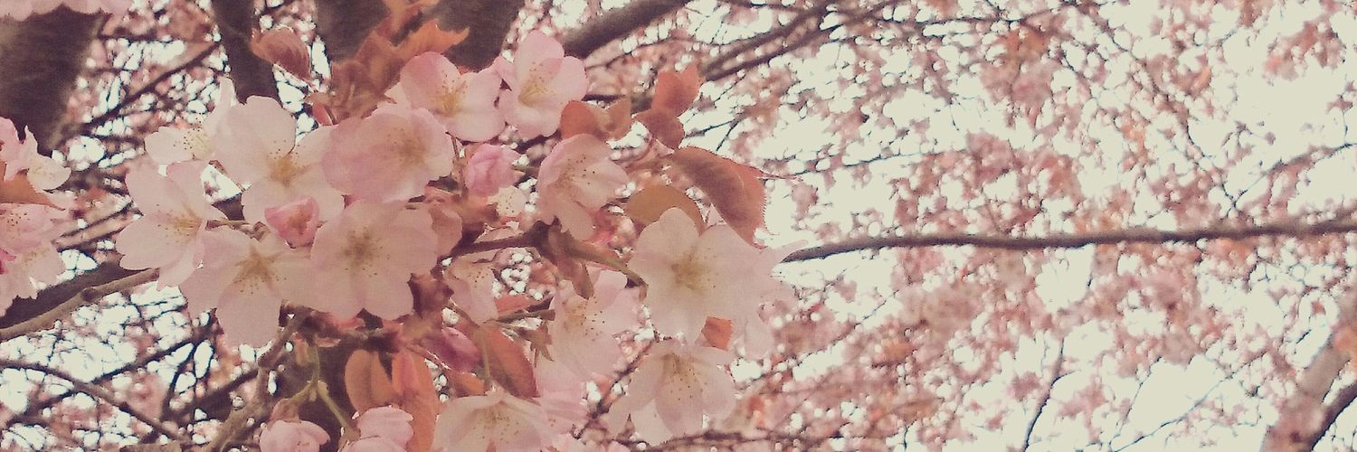 mys_67's profile banner image