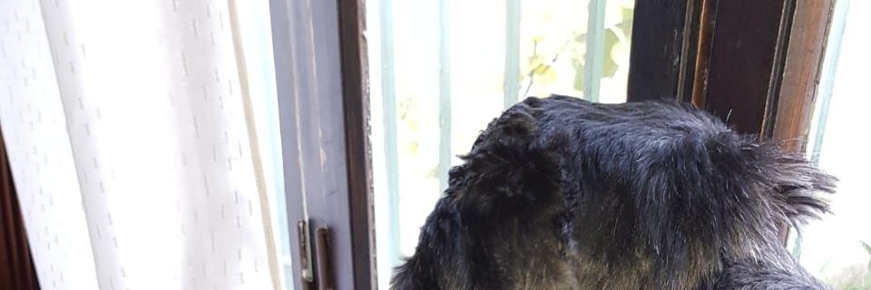 omarbrea22's profile banner image