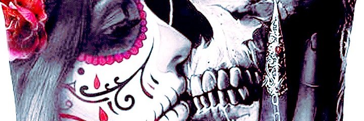 pichina28's profile banner image