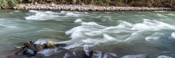 jesscastillom's profile banner image
