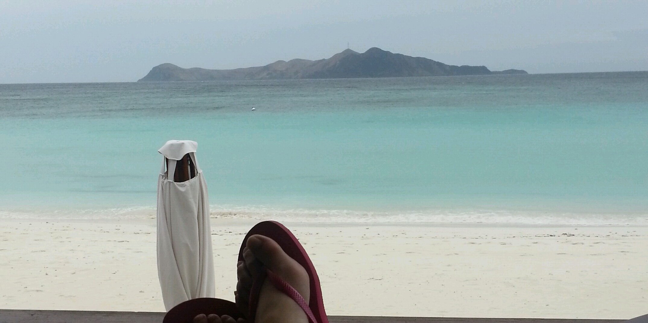 Sonja Vodusek banner