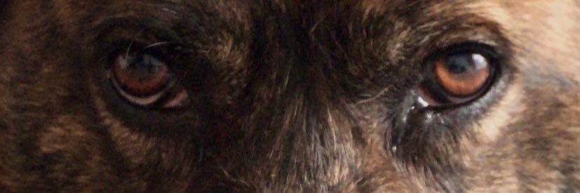 ffercho10's profile banner image