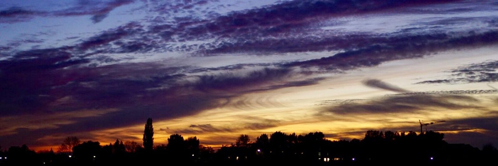 VvNederveen's profile banner image