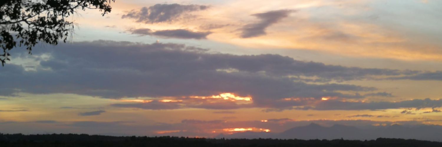 Albert Clopes Robles banner