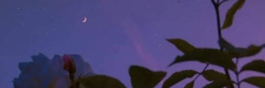 iammirasol's profile banner image