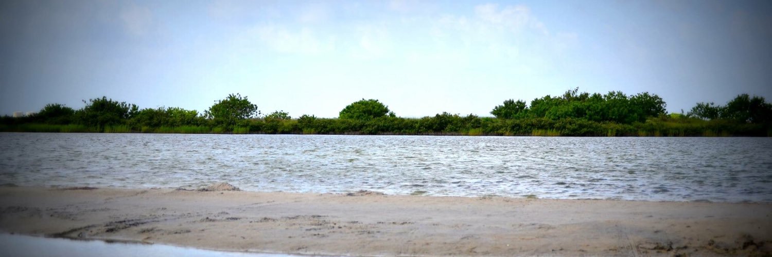 ProgressIndexTX's profile banner image