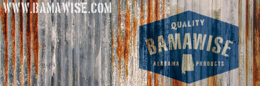 BamaWise banner