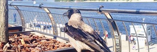 Halina33's profile banner image