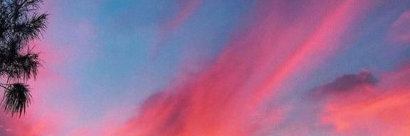 inalvarez7's profile banner image
