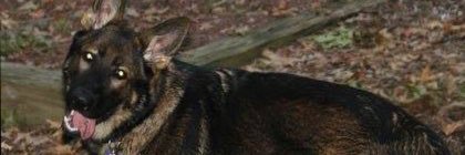 madirt's profile banner image