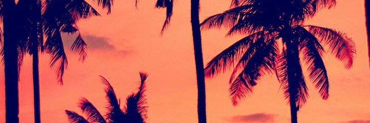 AnnaKrauss2's profile banner image