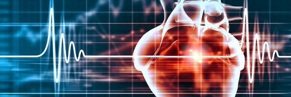 Doc_Junior25 Profile Banner