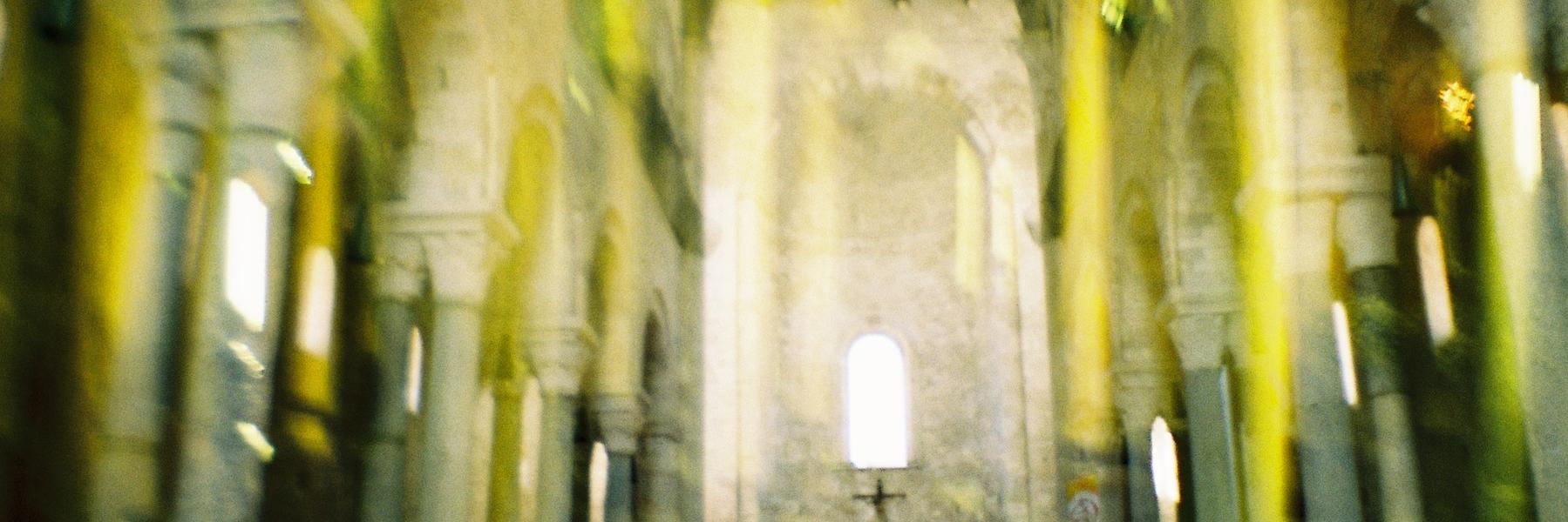 CeciArdiz's profile banner image