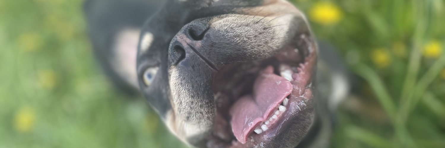 OSaville's profile banner image