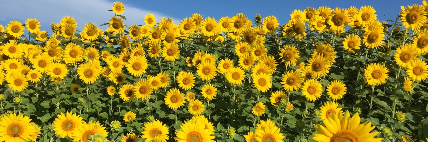 ASHIBA_ASHIVA's profile banner image