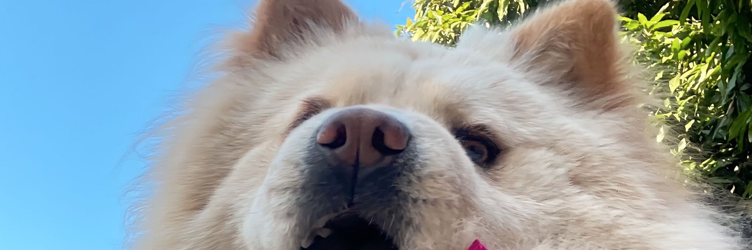 Fatidiazm's profile banner image