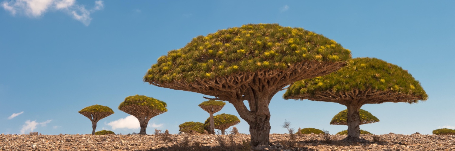 Michal Fabinger banner