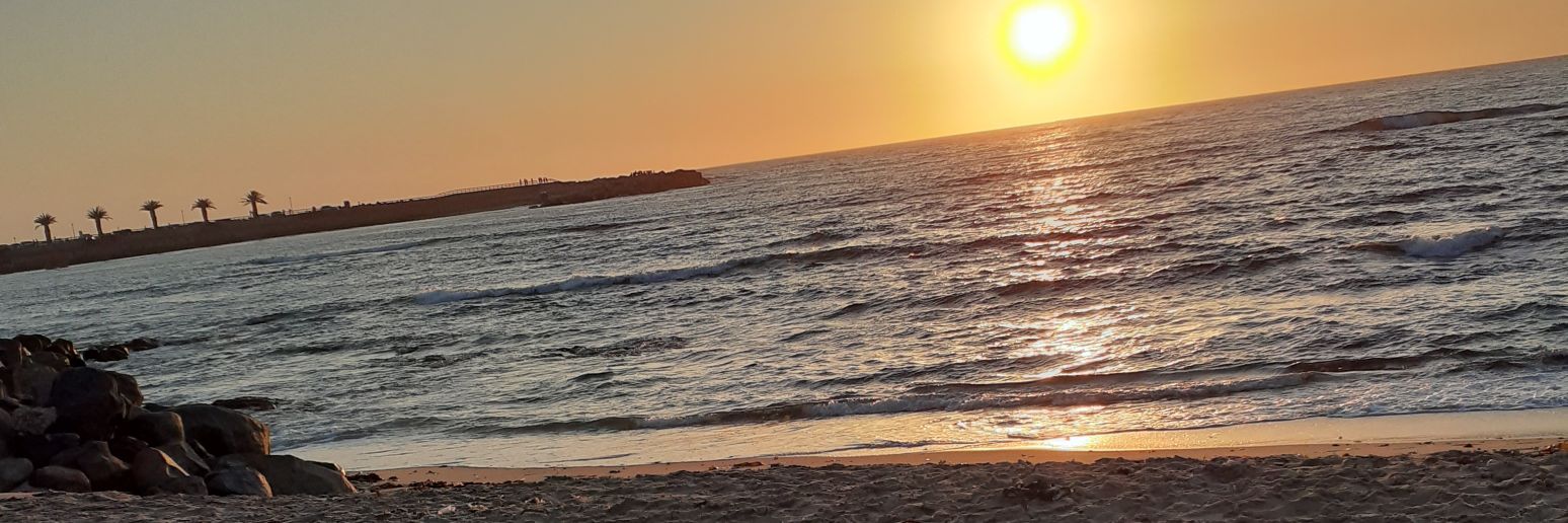 MsRhodia's profile banner image