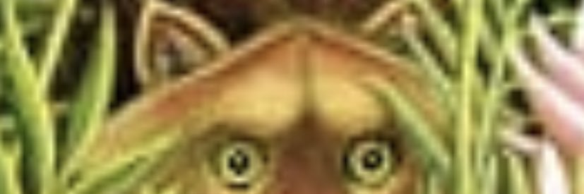 maximegiraud5's profile banner image