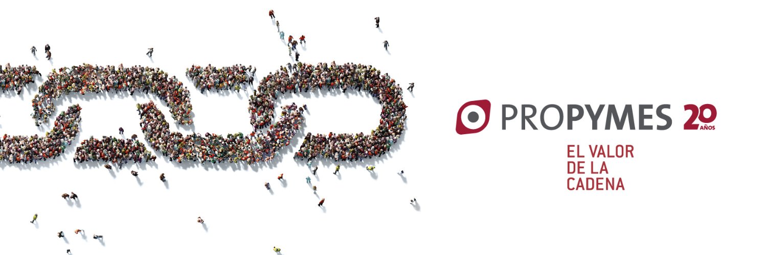 Programa ProPymes banner