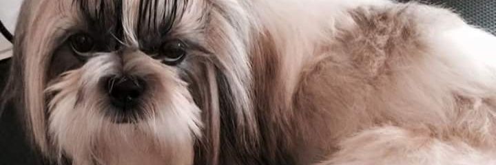karliimv's profile banner image