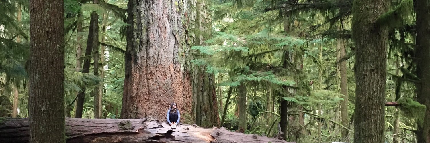 NVMMurray's profile banner image