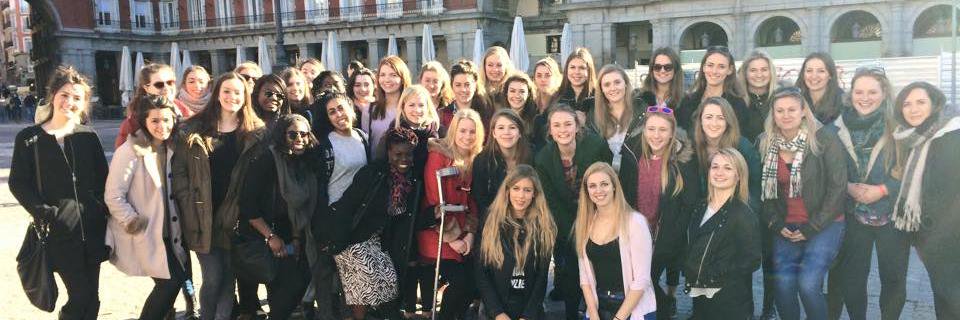 RVCNetball's profile banner image