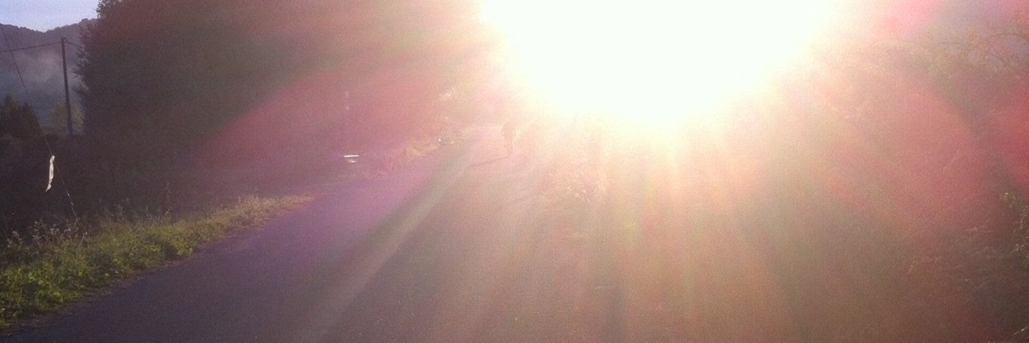 lucafeti's profile banner image