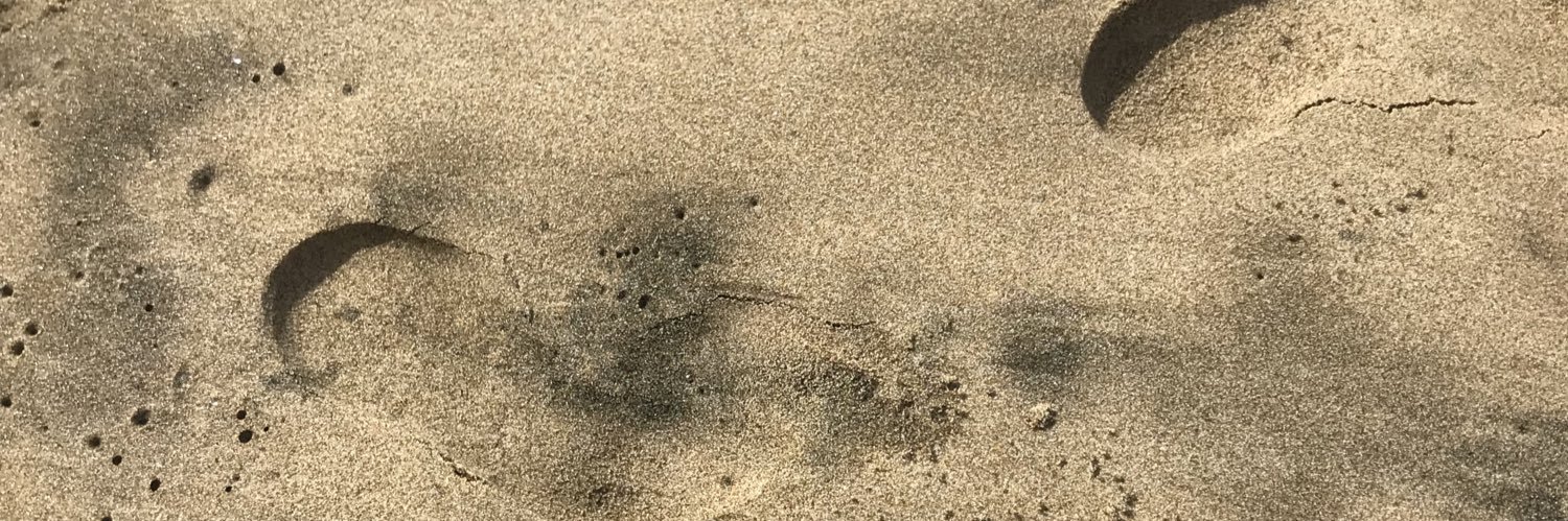 LuisaBlive's profile banner image