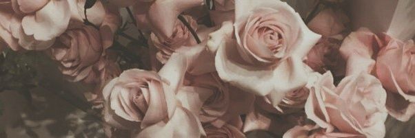 TBOU_KOCMOC's profile banner image