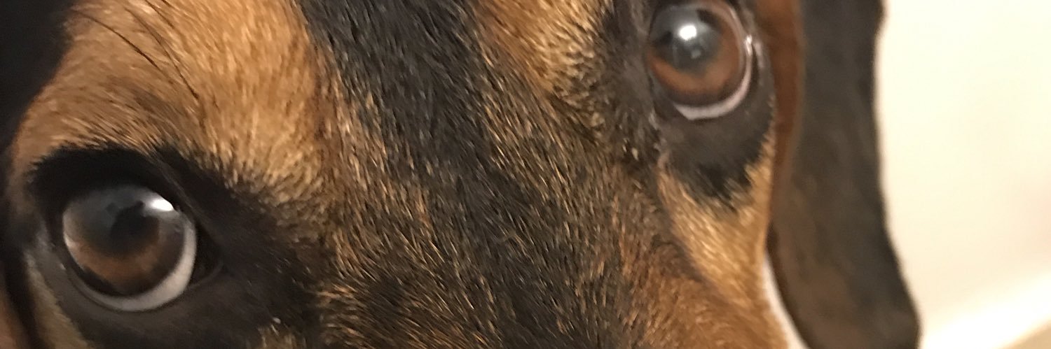 83brian77's profile banner image