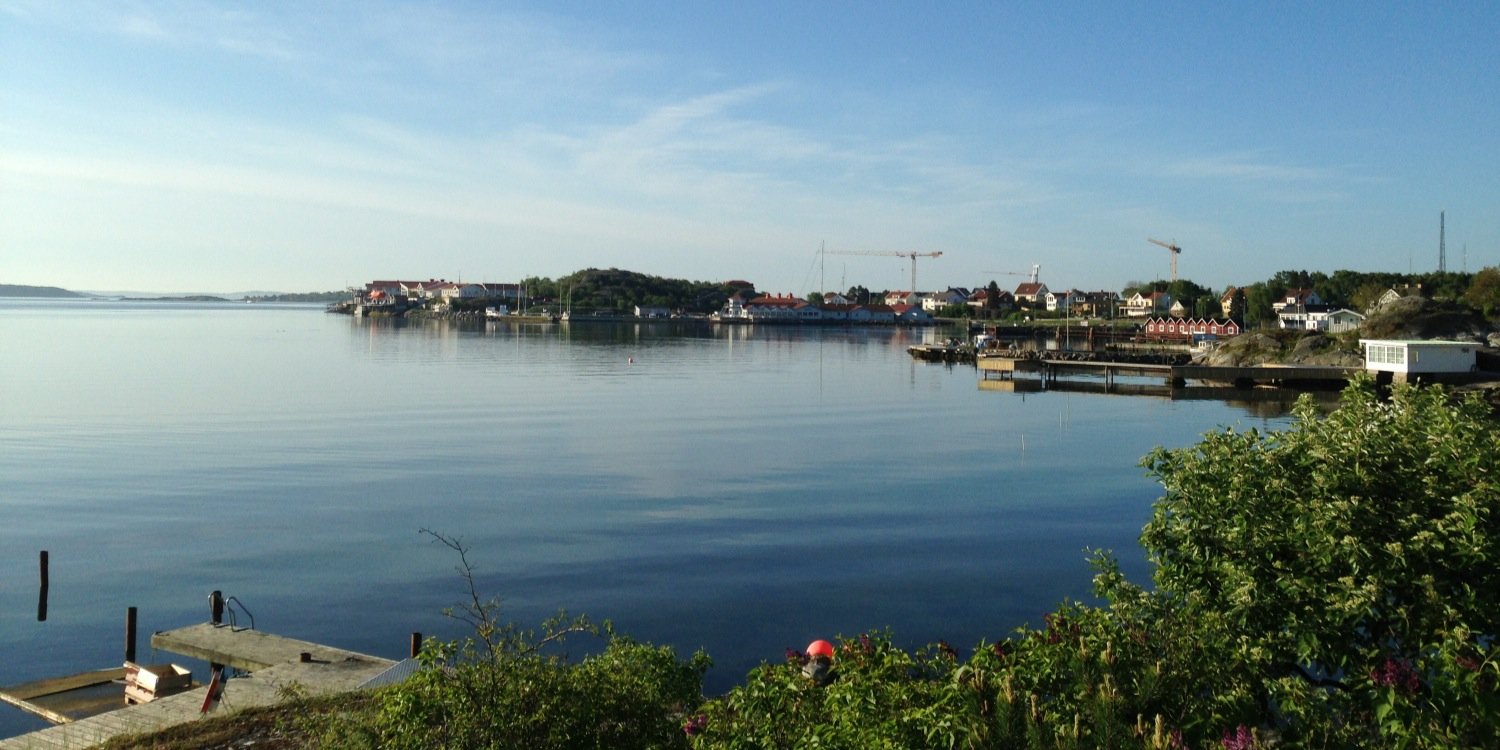 Victor Backman banner