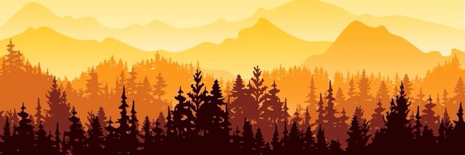 CryptoSandr's profile banner image