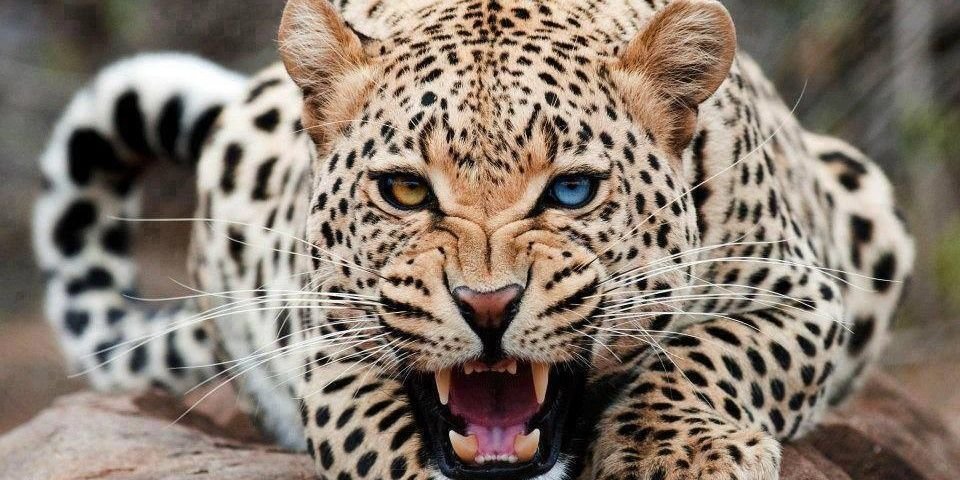 imarmar1's profile banner image
