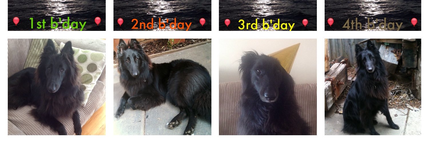 MyPepperTime Ⓥ banner