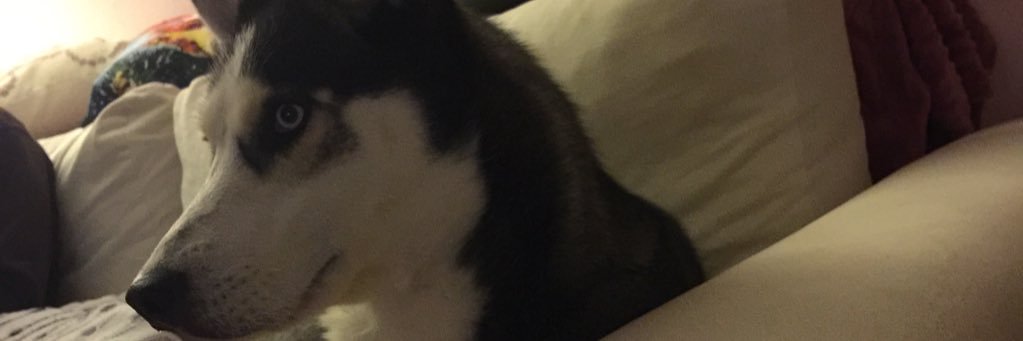 OKANKARACA6's profile banner image